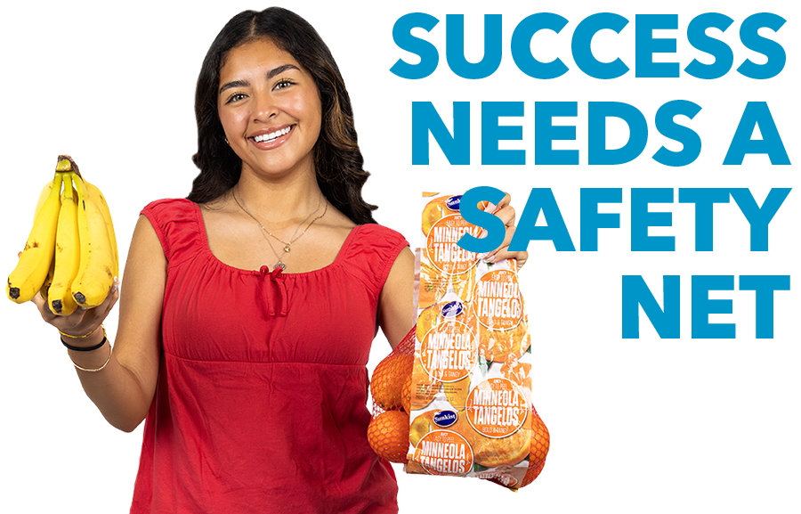 SUCCESS NEEDS A SAFETY NET